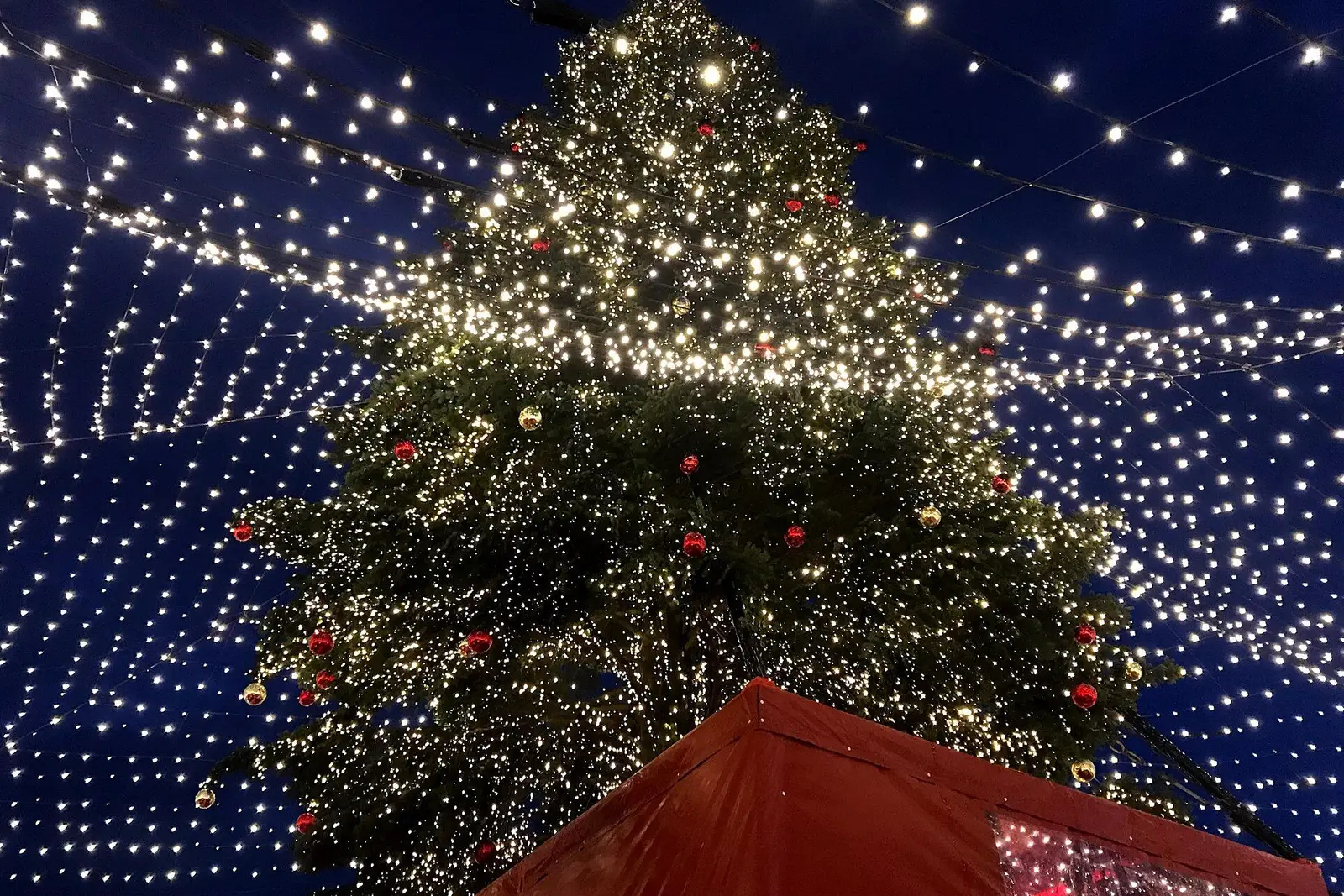 Een grote verlichte kerstboom boven de kramen op de kerstmarkt bij de Dom van Keulen